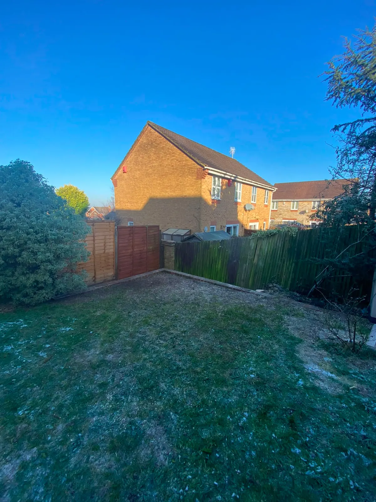 The same garden corner cleared and swept after the conifer removal, with no debris left behind