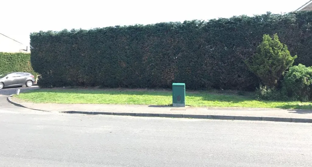 The same roadside hedge after reduction, trimmed straight and level with a clean face