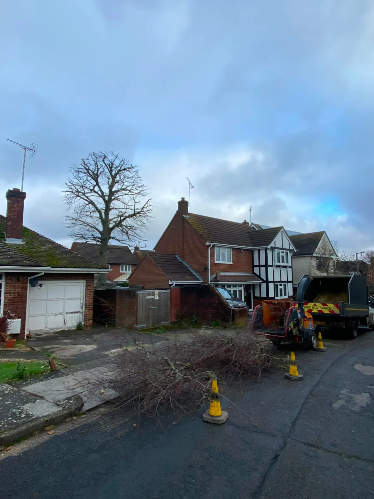 Newton's Tree Services chipper and tipper truck set up with cones for tree work in a residential street